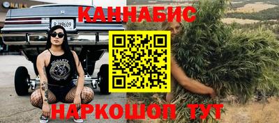 a pvp Краснознаменск