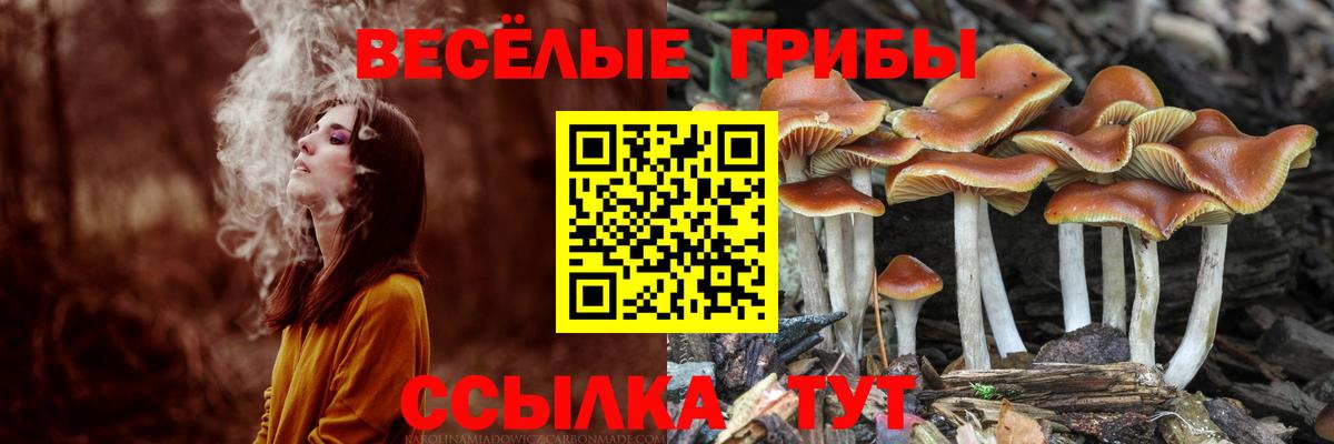 Ипатово  даркнет сайт  Вход с VPN  Галлюциногенные грибы ЛСД 